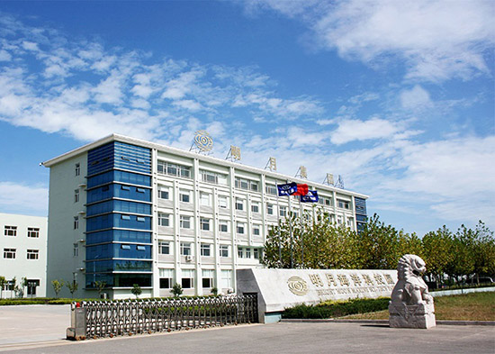 Qingdao plant